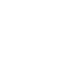 Beneath the Surface Designs in Nature October 16 –  November 9, 2024 Soho Photo Gallery 13 White Street, NYC Opening Party Thursday, October 17, 2024 6:00pm – 8:00pm
